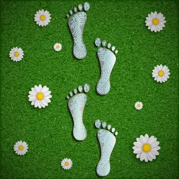 Footprint with a chip on the surface of the grass. Ilustración de archivo