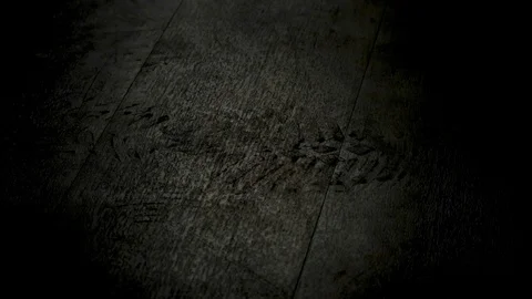 Footprint on Floor 1 Stock Footage 86156256