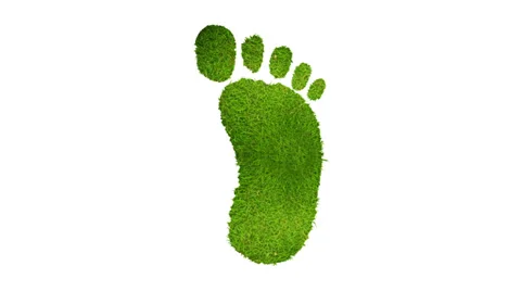 Footprint Stock Footage 30386102