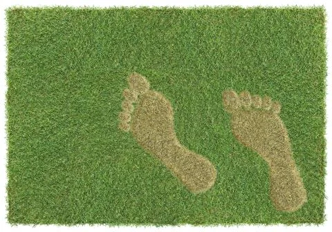Footprint on grass Foto stock