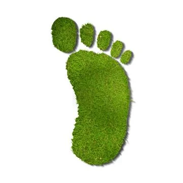 Footprint Stock Illustration