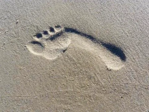 Footprint Stock Photos