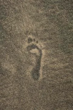 Footprint Stock Photos