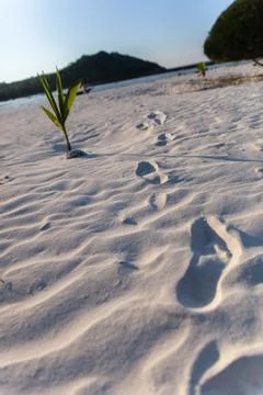 Footprint Foto stock