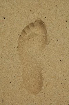 Footprint Stock Photos