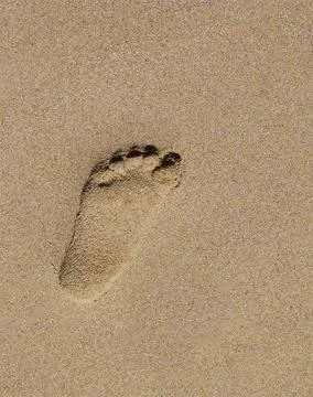 Footprint Stock Photos