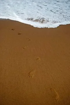 Footprint Stock Photos