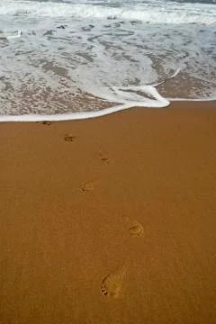 Footprint Stock Photos