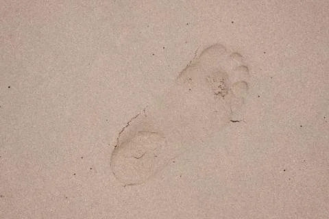 Footprint Stock Photos