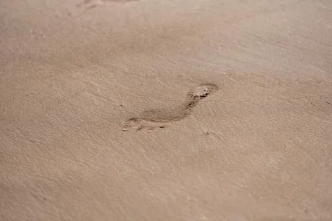Footprint Stock Photos