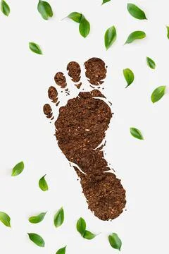 Footprint Stock Photos
