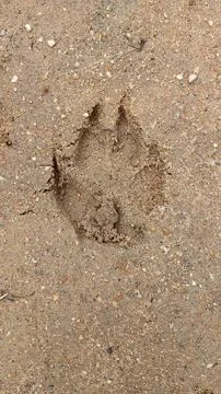 Footprint Foto stock