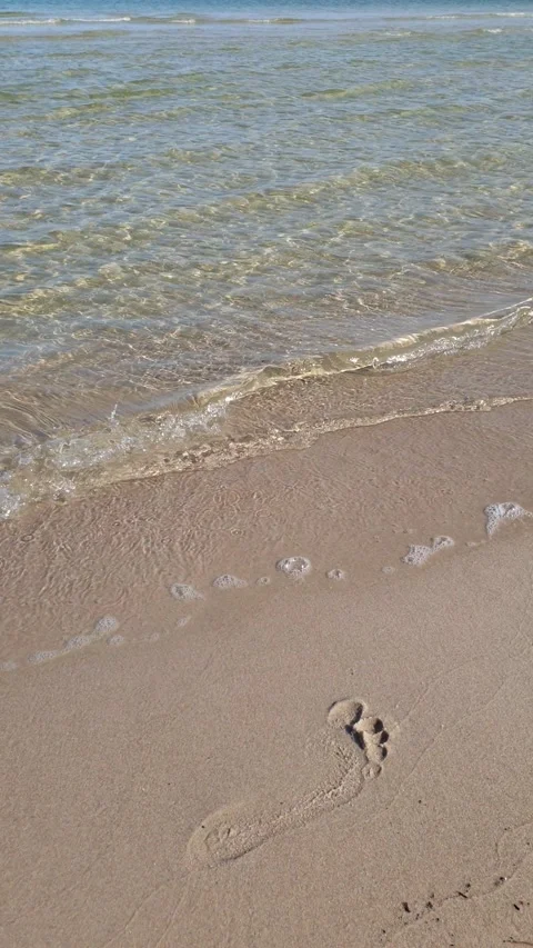Footprint on the sand of the beach Stock Footage 171420959