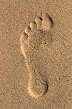 Footprint in the sand Stock Photos