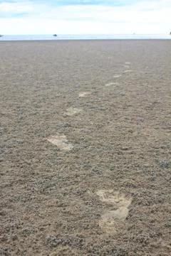 Footprint on sand Stock Photos