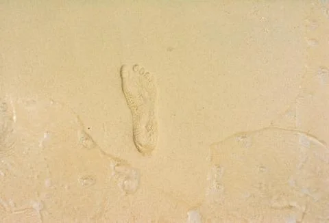 Footprint in the sand Stock Photos