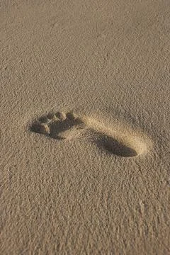 Footprint in Sand Stock Photos