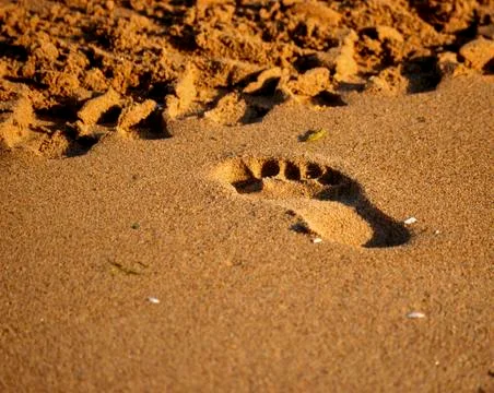 Footprint in the sand Stock Photos