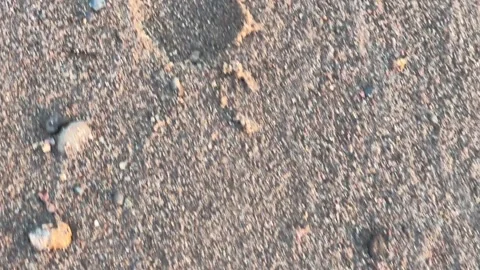 Footprint on a Sandy surface Stock Footage 155910106