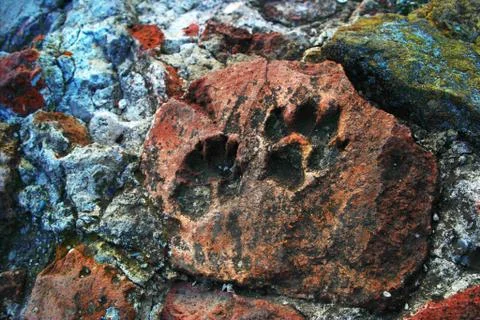 Footprint in stone Stock Photos