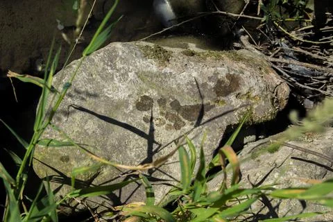 Footprint on the stone. Foto stock