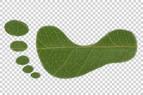 A footprint with the texture of a tree leaf, an alpha channel,  写真素材