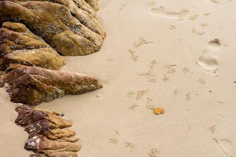 Footprints and crab patterns beside coastal rocks Thailand Stock Photos