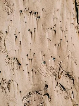 Footprints and Shell Patterns in Sand  Beach Texture Background Stock Photos