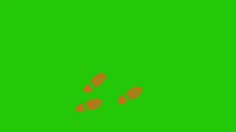 Footprints animation on green scree 库存影片 332209744
