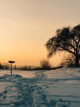 Footprints are marking path in snow towards wooden signpost at sunset during Foto stock