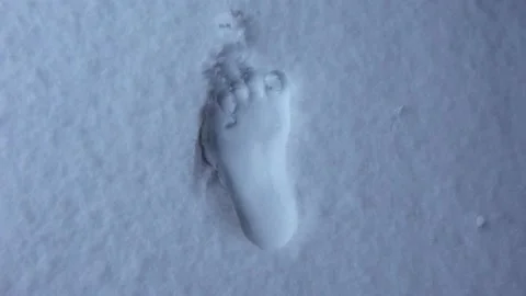 Footprints of bare feet in the snow. Camera movement from full frame on Vidéo 146631257