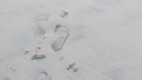 Footprints on the beach 1 Stock Footage 120954479