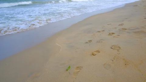 Footprints on beach background Stock Footage 101418793