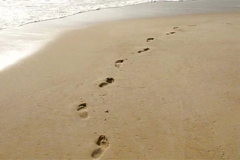 Footprints in the beach Stock Footage