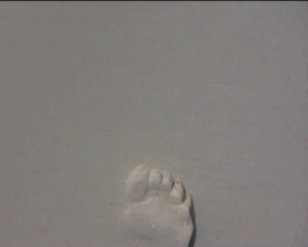 Footprints on the beach Stock Footage 558754