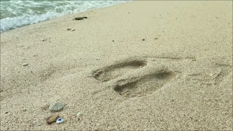 Footprints on the beach Video stock 300753371