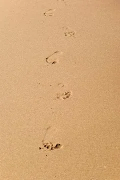 Footprints on the beach Stock Photos