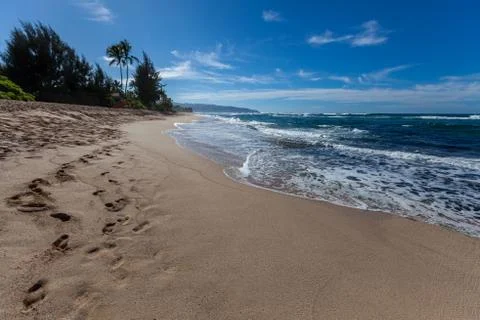 Footprints on the beach Stock Photos