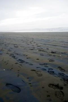 Footprints on the beach Stock Photos