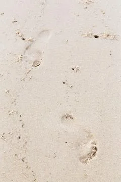 Footprints on beach Stock Photos