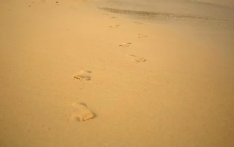 Footprints on the beach Stock Photos