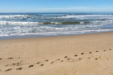 Footprints on the Beach Foto stock