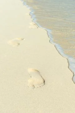 Footprints on the beach Stock Photos