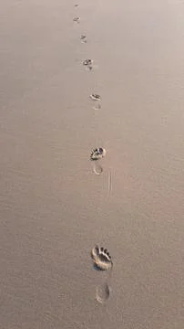 Footprints on the beach Foto stock