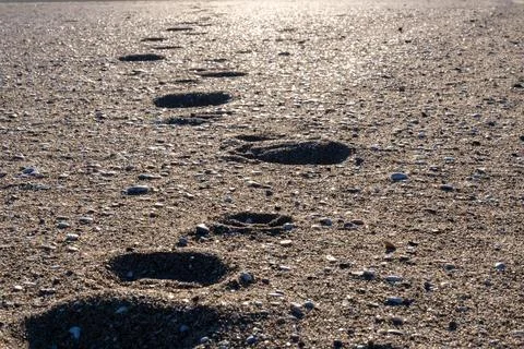 Footprints on the beach sand in horizontal format Stock Photos