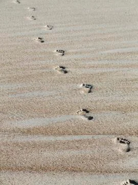 Footprints in beach sand Stock Photos
