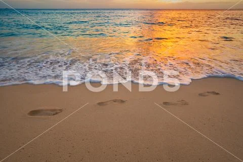 Footprints on beach sand with sea wave with foam at sunset time. Foot steps a Stock Photos