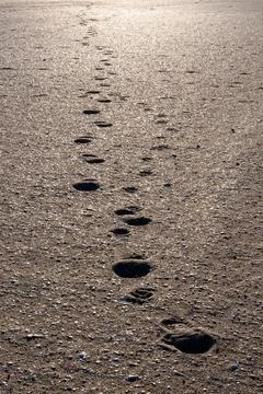 Footprints on the beach sand in vertical format Stock Photos
