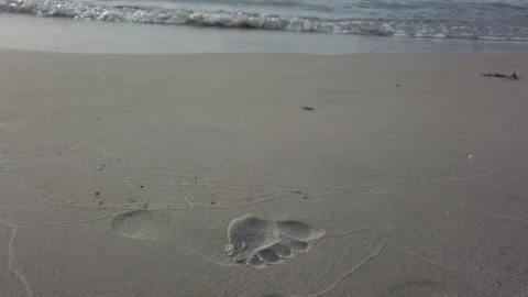 Footprints on the beach, tilt shot Stock Footage 136929231