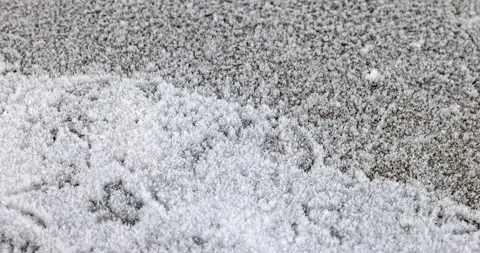 Footprints from a bird in the snow Stock Footage 223524692